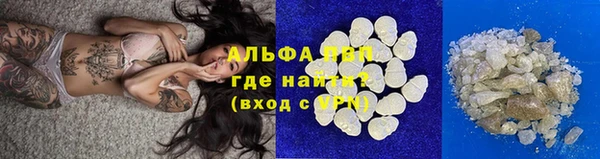 СК Сосновый Бор