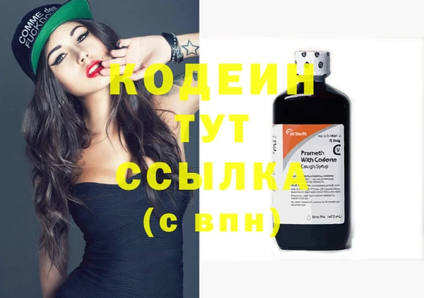 герыч Мегион