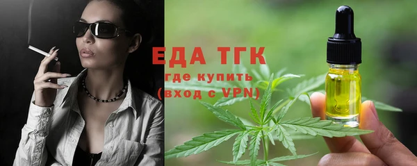 шишки Медвежьегорск