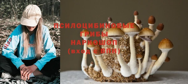 прущие крисы Медногорск
