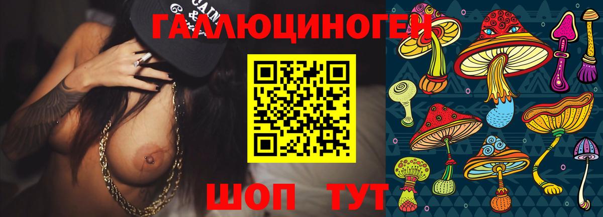 Екатеринбург  Псилоцибиновые грибы Psilocybine cubensis  Вход с VPN  Галлюциногенные грибы Psilocybine cubensis 